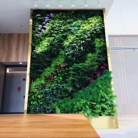 酒店生态植物墙